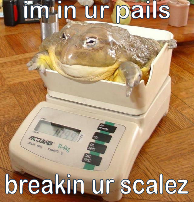 "im in ur pails breakin ur scalez". For the FARK.com Photoshop, "Photoshop this frog measure". im in ur pails breakin ur scales