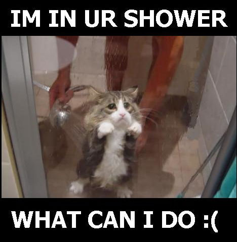 Im in ur shower, what can I do